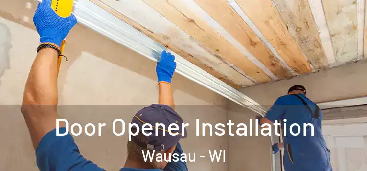  Door Opener Installation Wausau - WI
