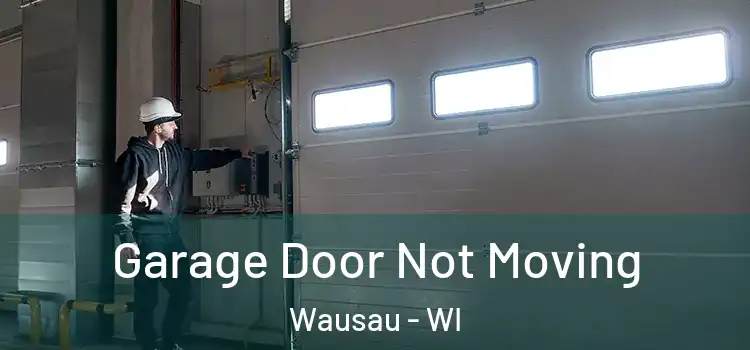  Garage Door Not Moving Wausau - WI