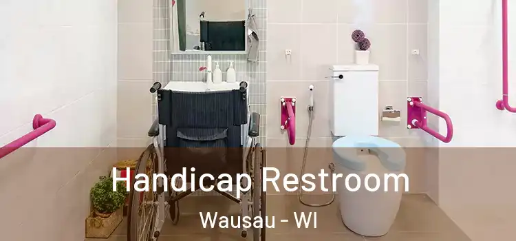  Handicap Restroom Wausau - WI
