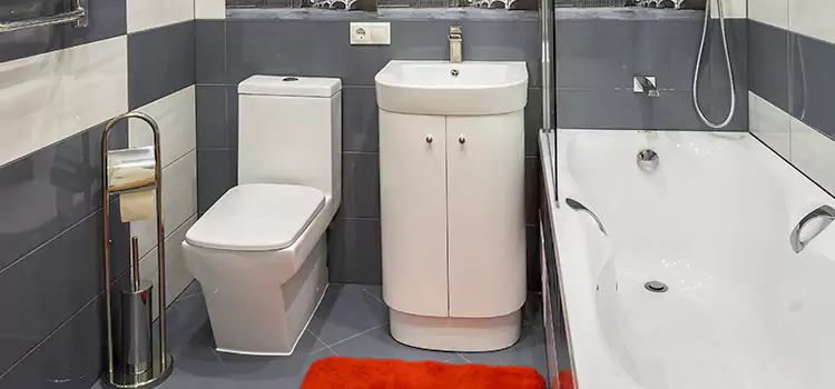 Hansgrohe Shaving Mirror Wausau