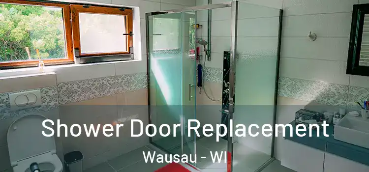  Shower Door Replacement Wausau - WI