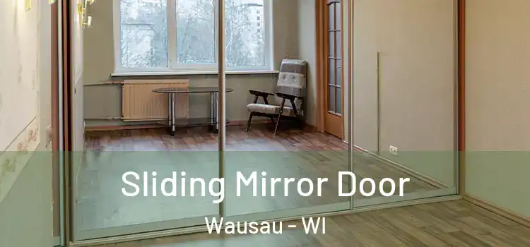  Sliding Mirror Door Wausau - WI
